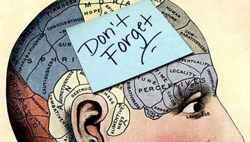 brain function map pic