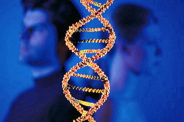 male / female genetics pic