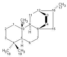 atisane 2D atomic structure