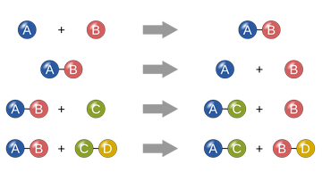 The four chemical reaction types