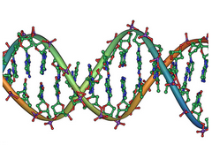 DNA illustration