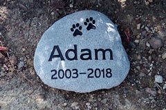 [ Adam headstone pic ]