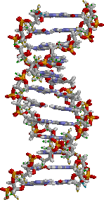 [ DNA static pic ]