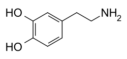 [ dopamine picture ]