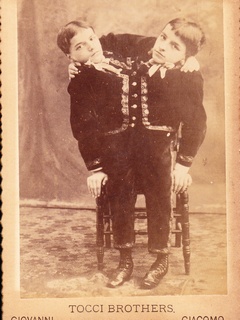 [ Tocci Brothers pic ]
