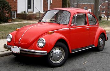 Beetle pic
