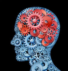 brain diagram