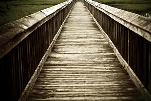 bridge forward picture