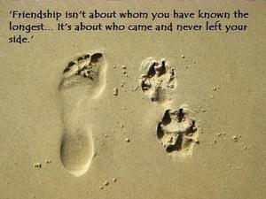 <b>friendship 02 pic</b>