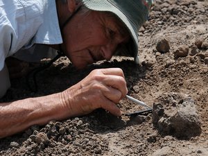 [ uncovering ancient skull pic ]
