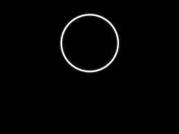 [ circle pic ]